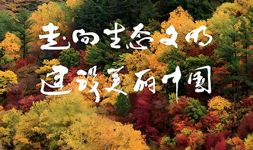 生态文明与美丽中国建设