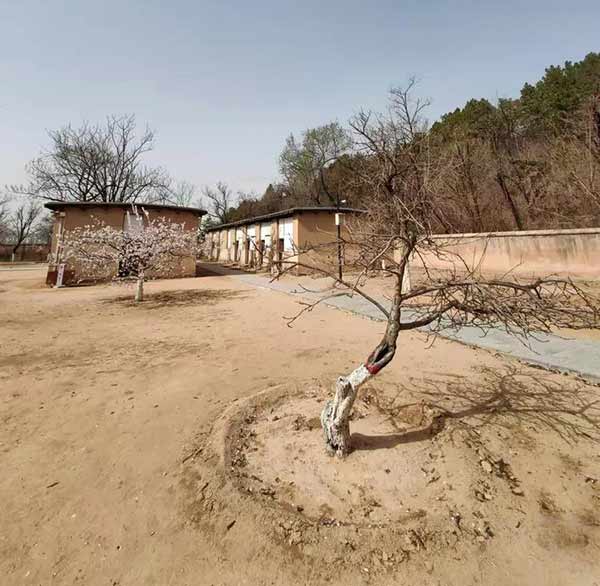 西柏坡：思政老师红色文化宝地