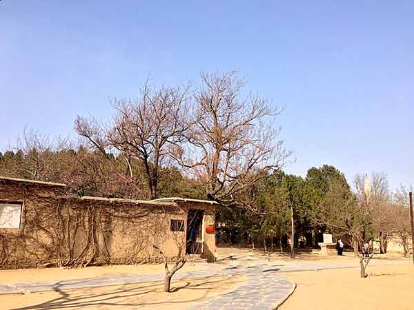 思政教师西柏坡研修 筑牢红色教育根基提升育人质效