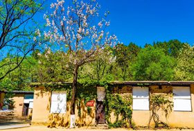 西柏坡干部培训：激活中高校党组织建设新动能